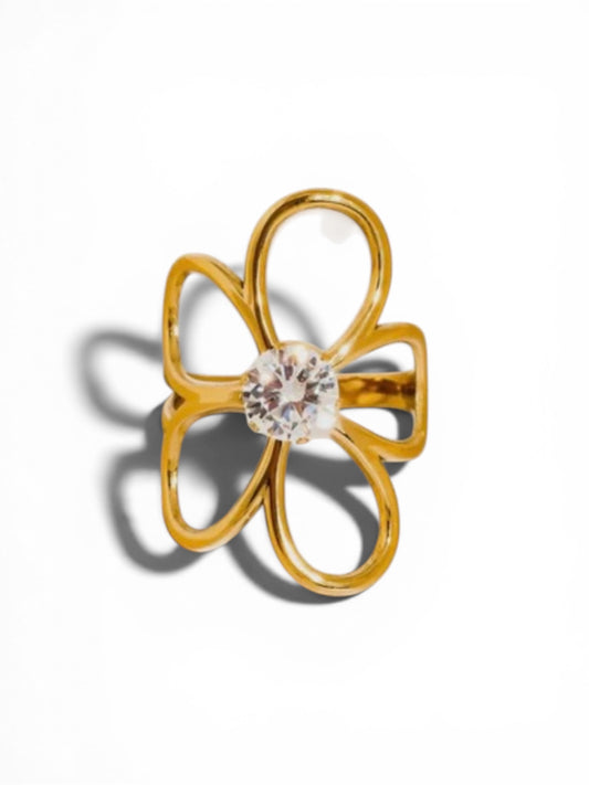 Bague en acier inoxydable